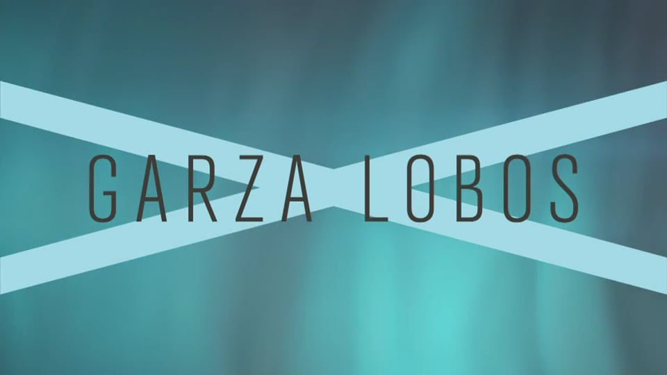 garza lobos (proxy)
